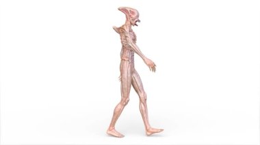 3D rendering of a walking male alien