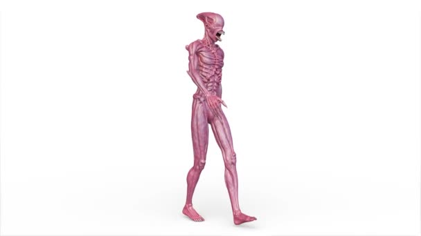 一个行走的男性外星人的3D渲染 — 图库视频影像