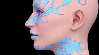 Bir kadının yüzünün 3 boyutlu görüntüsü.