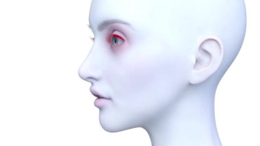 Bir kadının yüzünün 3 boyutlu görüntüsü.