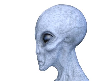 Yabancı bir yüzün 3 boyutlu görüntüsü