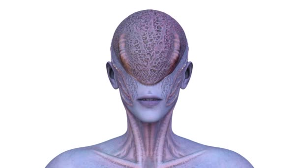 Візуалізація Обличчя Інопланетянки — стокове відео