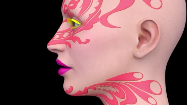Rendering Woman Face Close — Stock Video