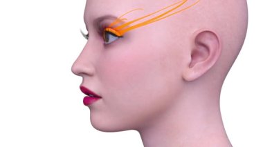 Bir kadının yüzünün 3 boyutlu görüntüsü.