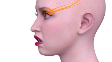 Bir kadının yüzünün 3 boyutlu görüntüsü.