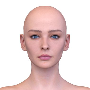 Bir kadının yüzünün 3 boyutlu görüntüsü.