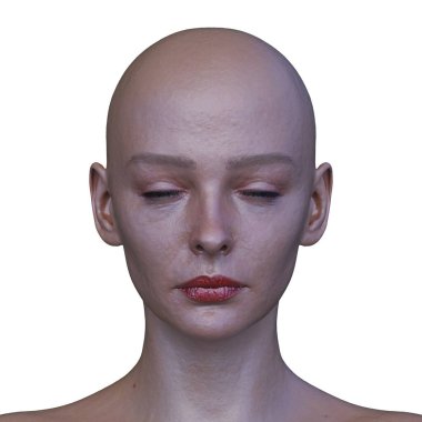Bir kadının yüzünün 3 boyutlu görüntüsü.