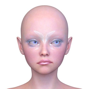 Bir kadının yüzünün 3 boyutlu görüntüsü.