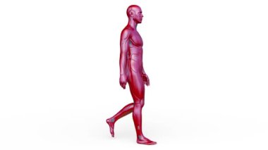 Yürüyen bir erkek sayborgun 3 boyutlu tasviri