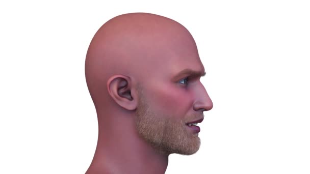 男性の顔の3Dレンダリング — ストック動画