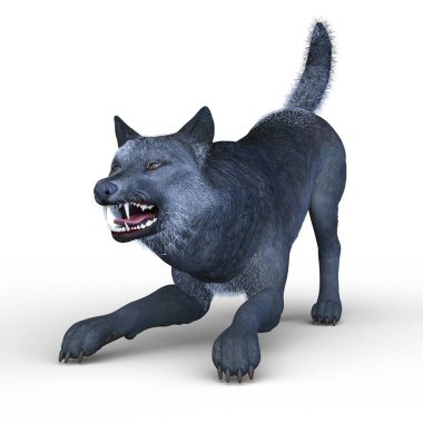 Bir kurdun 3 boyutlu görüntülemesi