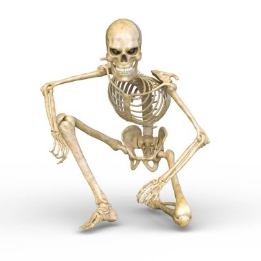 Bir iskeletin 3B canlandırması