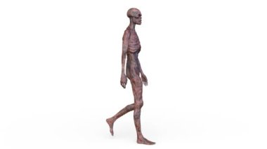 Yürüyen bir erkek zombinin 3 boyutlu canlandırması