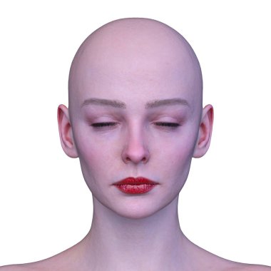 Bir kadının yüzünün 3 boyutlu görüntüsü.