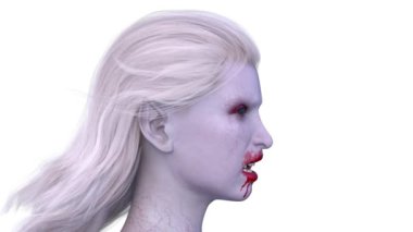 Dişi bir vampirin 3 boyutlu görüntüsü.