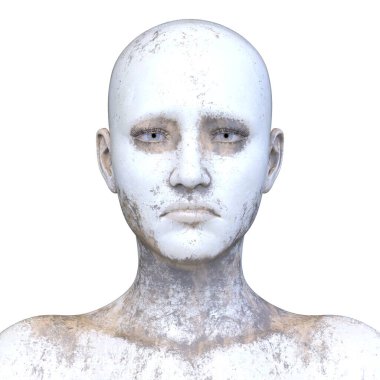 Bir kadının yüzünün 3 boyutlu görüntüsü.