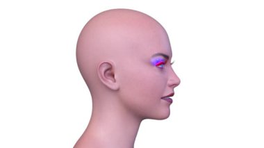 Bir kadının yüzünün 3 boyutlu görüntüsü.