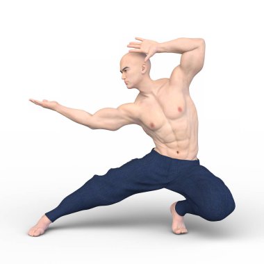 3 boyutlu kung fu ustası tasviri