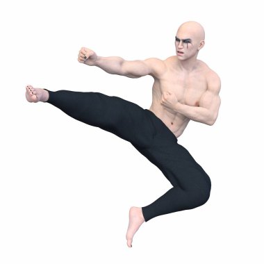 3 boyutlu kung fu ustası tasviri