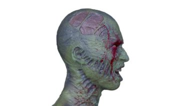 Erkek zombi yüzünün 3 boyutlu hali
