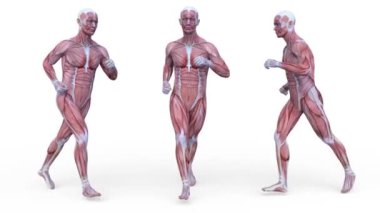 Koşan bir adamın 3B görüntüsü