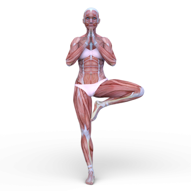 Poz veren bir kadının 3B görüntüsü