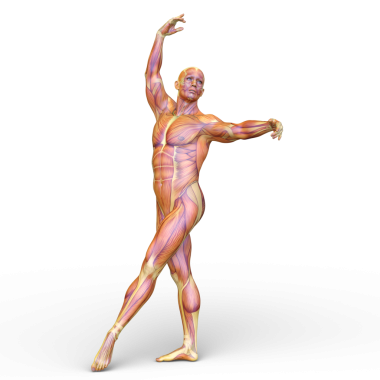 Poz veren bir adamın 3B görüntüsü