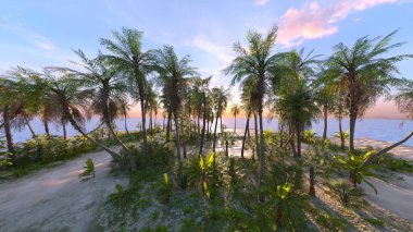 Plajın palmiye ağaçlarıyla 3 boyutlu görüntüsü