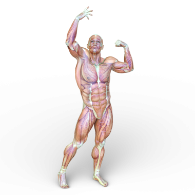 Poz veren bir adamın 3B görüntüsü