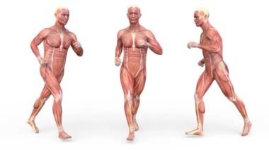 Koşan bir adamın 3B görüntüsü