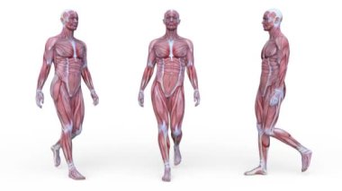 3D yürüyen bir adam görüntüsü oluşturma