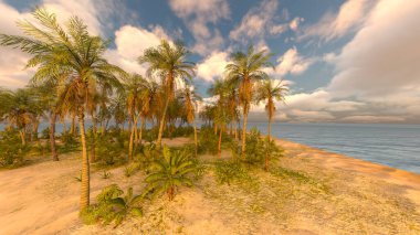 Plajın palmiye ağaçlarıyla 3 boyutlu görüntüsü
