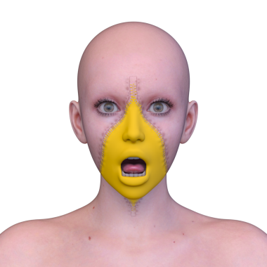 Bir kadının yüzünün 3 boyutlu görüntüsü.