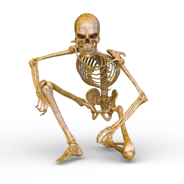 Bir iskeletin 3B canlandırması