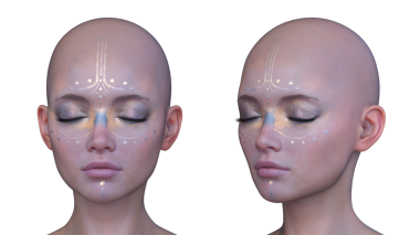 Bir kadının yüzünün 3 boyutlu görüntüsü.