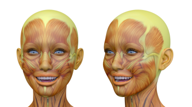 Bir kadının yüzünün 3 boyutlu görüntüsü.