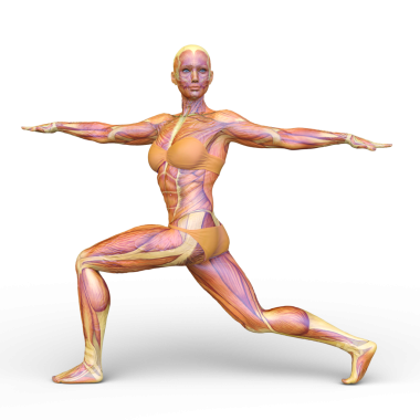 Poz veren bir kadının 3B görüntüsü