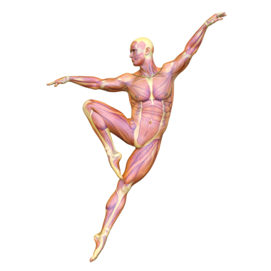 Poz veren bir adamın 3B görüntüsü