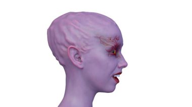 Dişi bir uzaylının 3 boyutlu görüntüsü