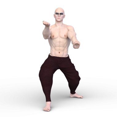 3 boyutlu kung fu ustası tasviri