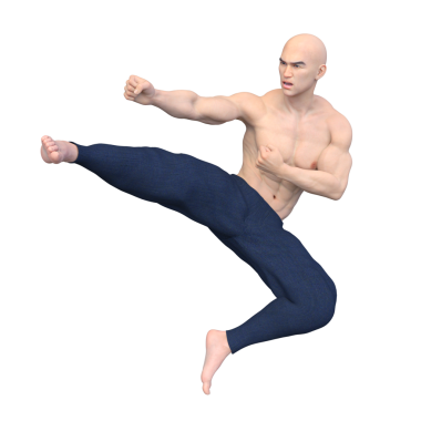 3 boyutlu kung fu ustası tasviri