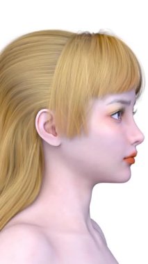 Bir kadının yüzünün 3 boyutlu görüntüsü.