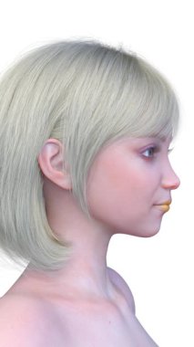 Bir kadının yüzünün 3 boyutlu görüntüsü.