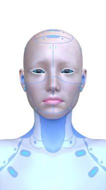 Dişi bir sayborgun yüzünün 3 boyutlu görüntüsü.