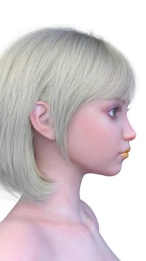 Bir kadının yüzünün 3 boyutlu görüntüsü.