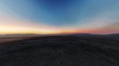 Yabanın 3B görüntüsü 360 derece