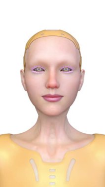 Dişi bir sayborgun yüzünün 3 boyutlu görüntüsü.