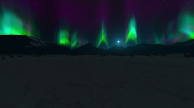 Yabanın 3B görüntüsü 360 derece