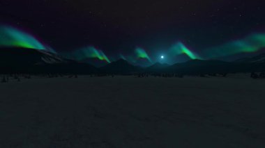 Yabanın 3B görüntüsü 360 derece