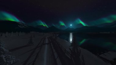 Yabanın 3B görüntüsü 360 derece